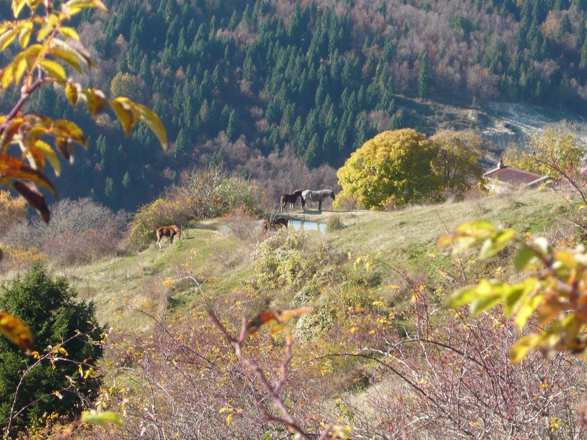 Hotel Belvedere Roana Extérieur photo